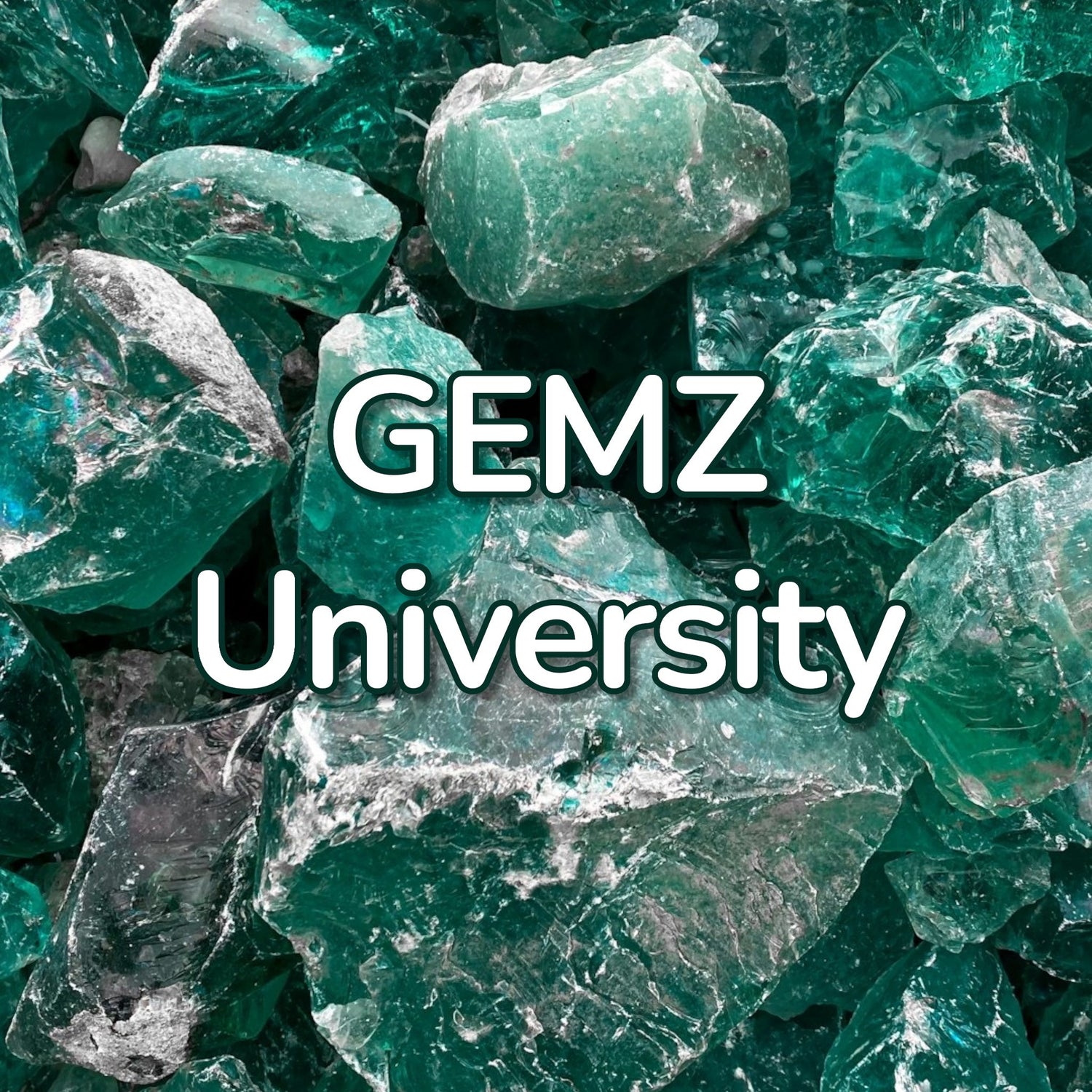 GEMZ University Merch